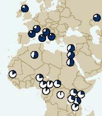 İnsan Evriminde Ortaya Çıkan Yeni Gen Mutasyonları