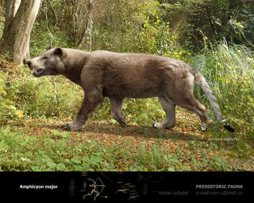 tumblr_lp4venk4FR1qjk948o1_500