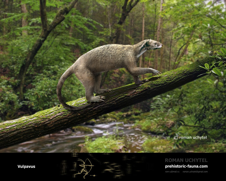 tumblr_lp5tm21MpO1qjk948o1_1280