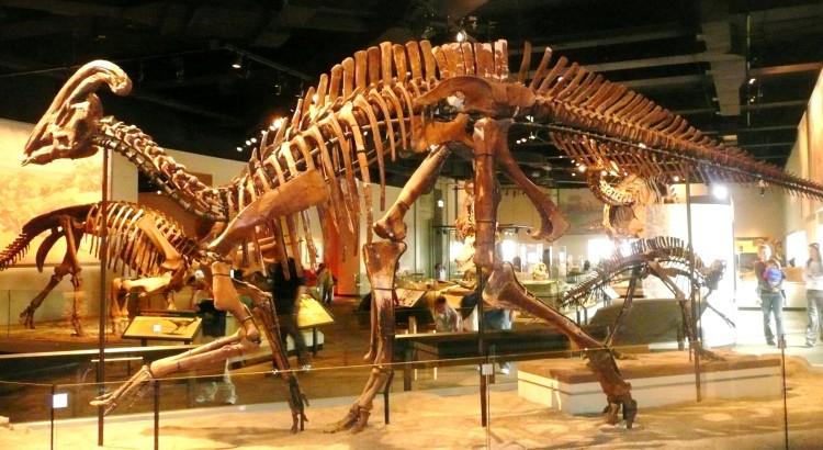 Jeolojik ve Paleontolojik Bulguları Tarihleme Yöntemleri