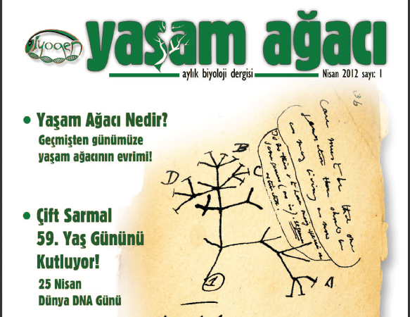 Yaşam Ağacı Dergisi Nisan 2012 Sayısını okumak için resme tıklayın