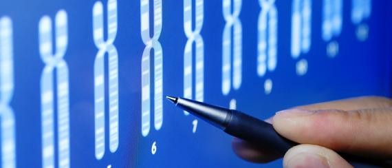 Evrimin Kesin Kanıtları-1: Psödogenler