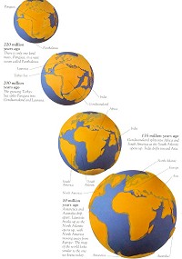 Yanılgı Serisi: Tesadüf