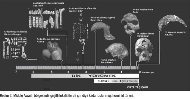 Afar'da İnsanlar ve İnsanların Ataları
