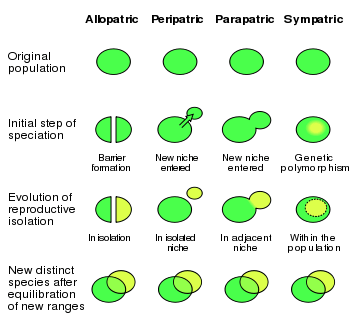 350px-Speciation_modes.svg