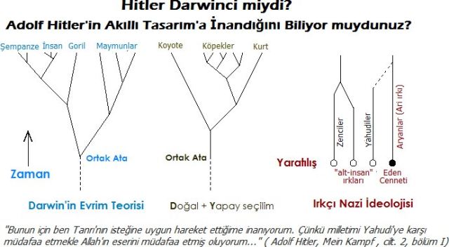 darwinhitleraryan