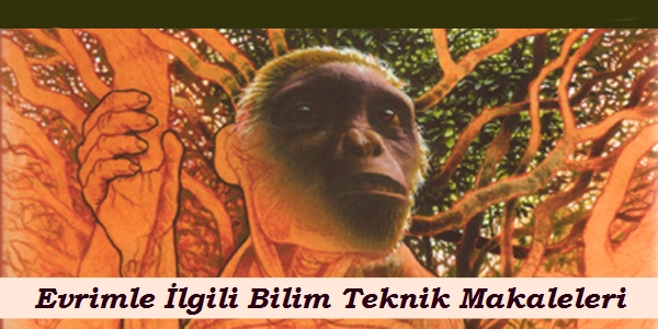 Evrim İle İlgili Bilim Teknik Makaleleri