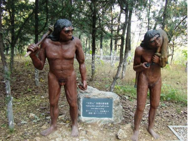 neandertal