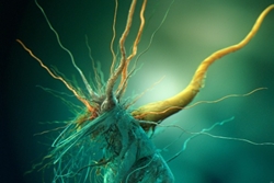 Genetik Şifre Nasıl Evrilmiştir?