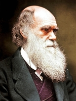 darwin