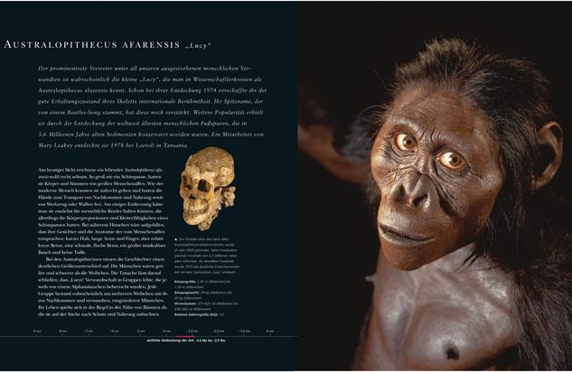 die-evolution-des-menschen-12209