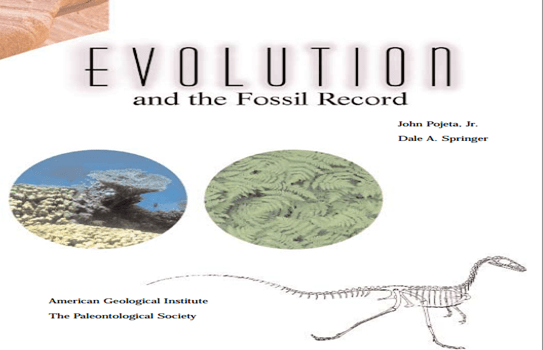 evolution and fossil record