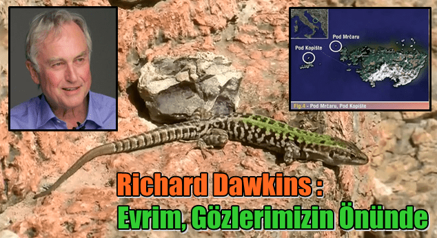 Video: Richard Dawkins Anlatıyor - 'Evrim, Gözlerimizin Önünde'