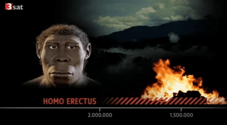 3sat.online Mediathek Es werde Mensch Meilensteine