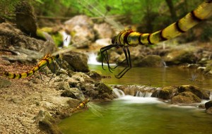 big__Der-Urspung-des-Lebens-Review-04