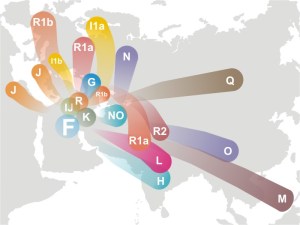 Haplogroup_F_(Y-DNA)