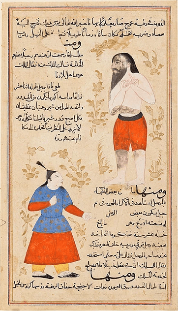 54f989d3d5e4772b5bad4bec.webp  400×727