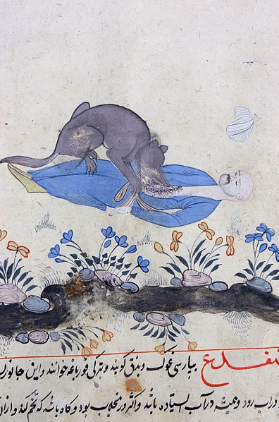 54f98ba1f7847e475db48f28.webp  400×636