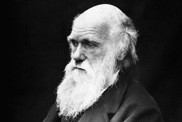 Evrim Düşüncesine İnandıkları İçin Bugün  Sakıncalı Piyade  Muamelesi Gören 16 İslam Bilgini   onedio.com