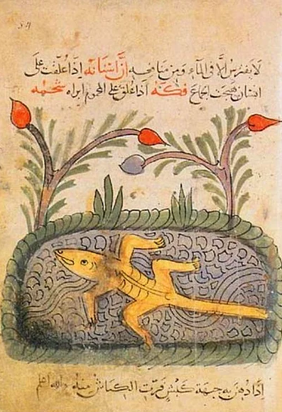 Evrim Düşüncesine İnandıkları İçin Bugün  Sakıncalı Piyade  Muamelesi Gören 16 İslam Bilgini   onedio.com