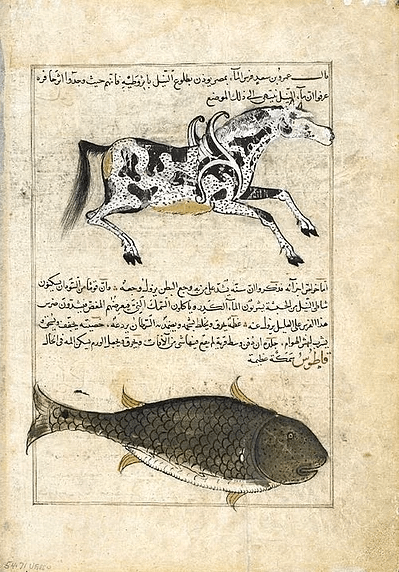 Evrim Düşüncesine İnandıkları İçin Bugün  Sakıncalı Piyade  Muamelesi Gören 16 İslam Bilgini   onedio.com