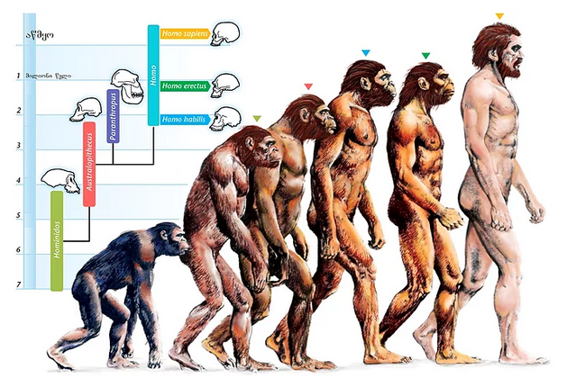 Evrim Düşüncesine İnandıkları İçin Bugün  Sakıncalı Piyade  Muamelesi Gören 16 İslam Bilgini   onedio.com