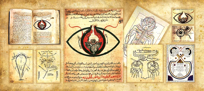 Yeni Yazı Ekle ‹ CHARLES DARWİN VE EVRİM TEORİSİ — WordPress