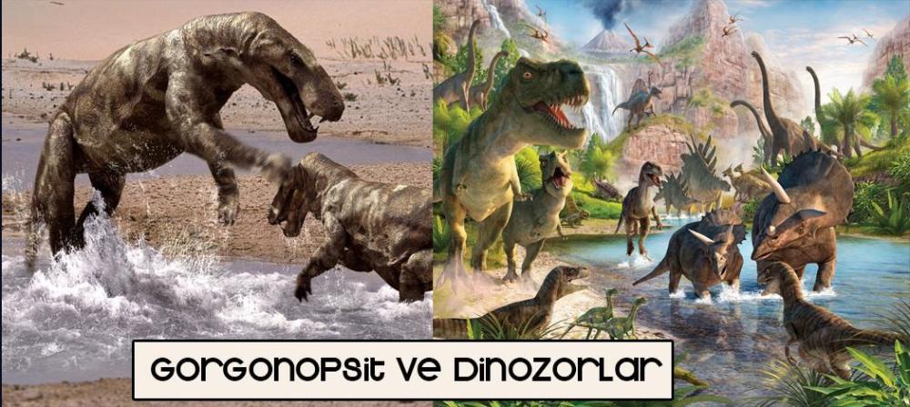 13106057_10153587130608317_576623057_o