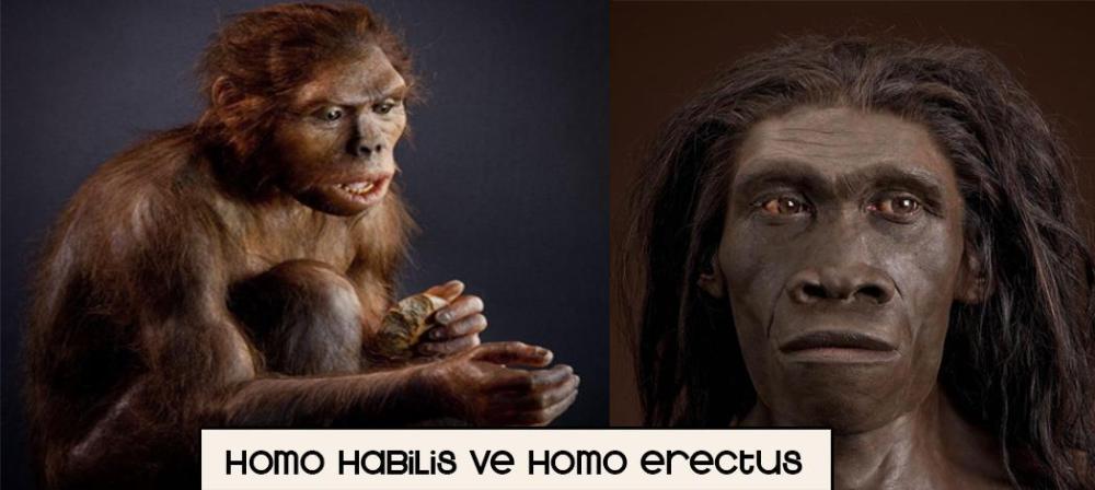 13120444_10153587130503317_276220832_o