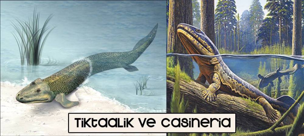 13120444_10153587130678317_2041514729_o