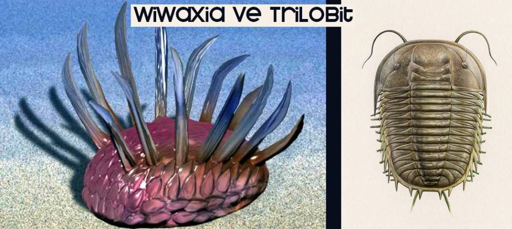 13120563_10153587130703317_380432022_o