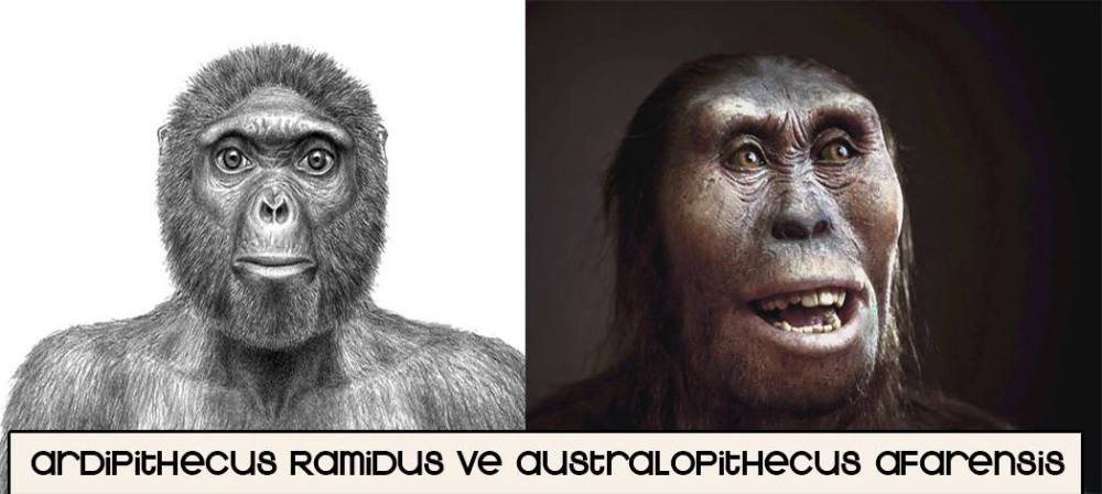 13120810_10153587130588317_368660074_o