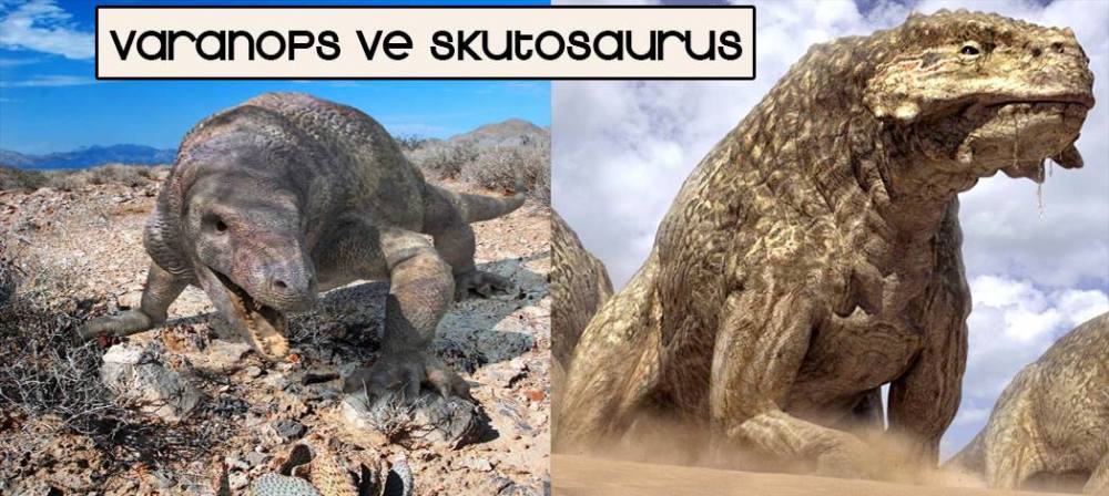 13128669_10153587130673317_1453947310_o