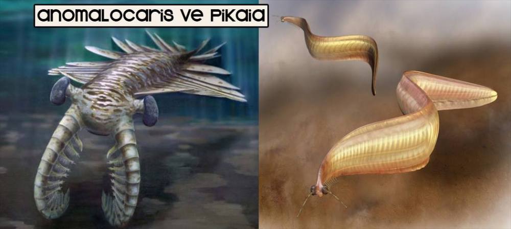 13147889_10153587130498317_1076660178_o